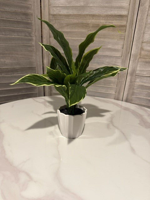 Artificial Green Plant in White Pot – Realistic Faux Houseplant for Shelf or Desk Decor
