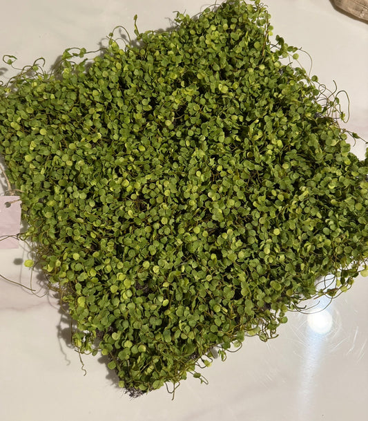 Artificial Greenery Mat – Faux Mini Leaf Panel for DIY Crafts & Wall Decor