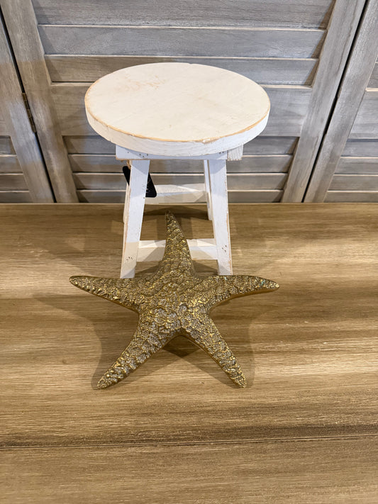 Metallic Starfish